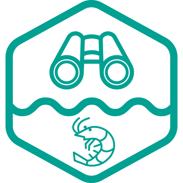 Shrimp Hub Behavioural Welfare Indicator icon showing binoculars above a shrimp in pond, to represent behavioural observation.