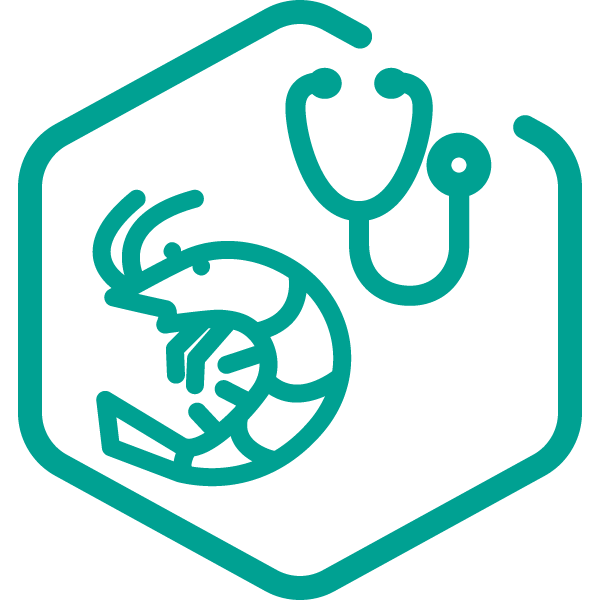 Shrimp Hub Health Welfare Indicator icon showing a stethoscope above a shrimp, symbolizing health monitoring.