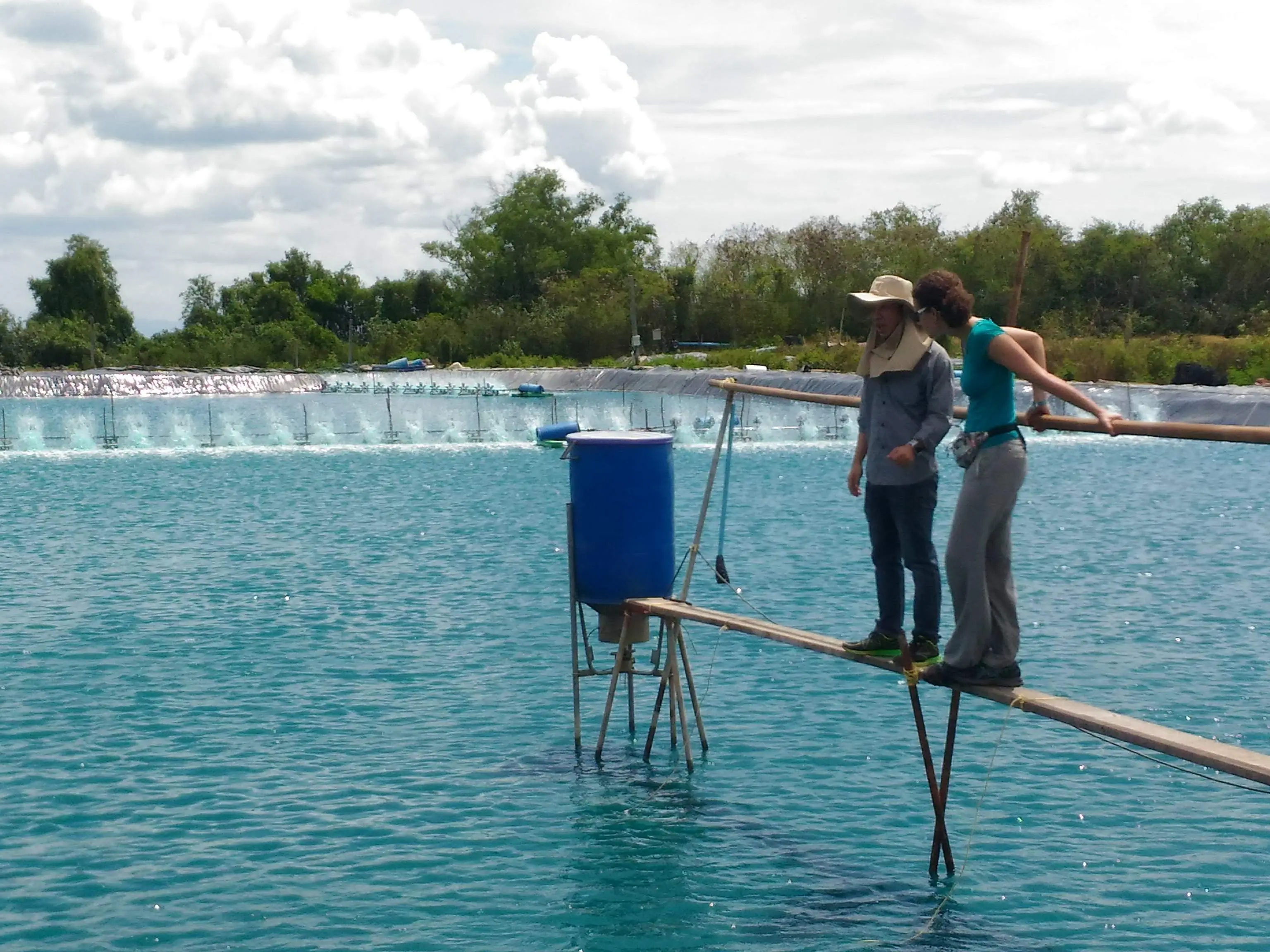 During an FAI site visit to shrimp farm in Thailand, a shrimp farmer and FAI consultant stand on a narrow wooden beam above a large shrimp pond near an automatic feeder mounted on a metal frame with a blue barrel. In the background, a row of paddlewheel aerators churns the water to increase dissolved oxygen. The scene illustrates the importance of good nutrition and adequate oxygen levels for shrimp welfare.
