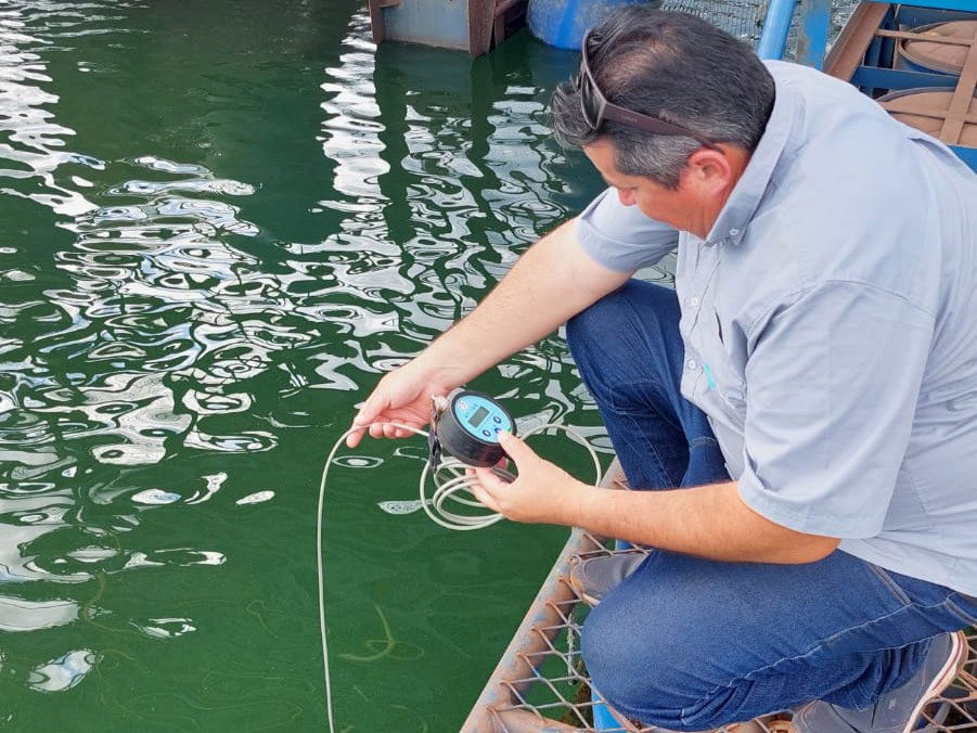 An FAI consultant demonstrates how to use a handheld oxygen meter. The consultant is holding the probe cable, while the probe is submerged in a tilapia cage. The consultant checks the oxygen meter display showing the oxygen saturation and temperature.